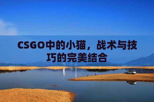 CSGO中的小猫,战术与技巧的完美结合 CSGO中的小猫,战术与技巧的完美结合