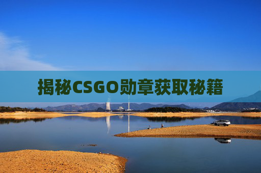 揭秘CSGO勋章获取秘籍 揭秘CSGO勋章获取秘籍