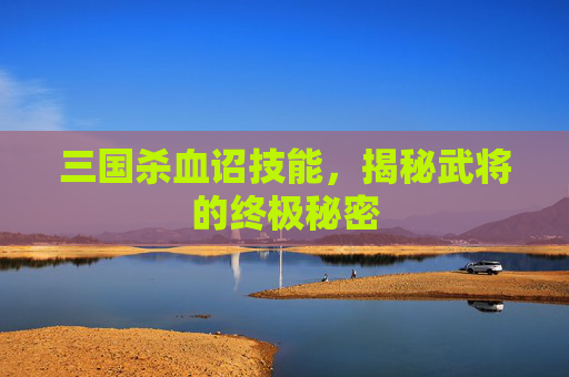 三国杀血诏技能,揭秘武将的终极秘密 三国杀血诏技能,揭秘武将的终极秘密