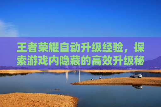 王者荣耀自动升级经验，探索游戏内隐藏的高效升级秘诀