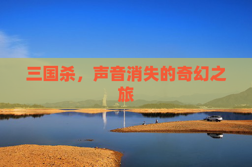 三国杀,声音消失的奇幻之旅 三国杀,声音消失的奇幻之旅