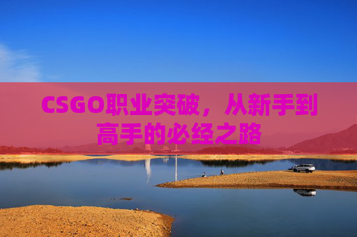 CSGO职业突破，从新手到高手的必经之路