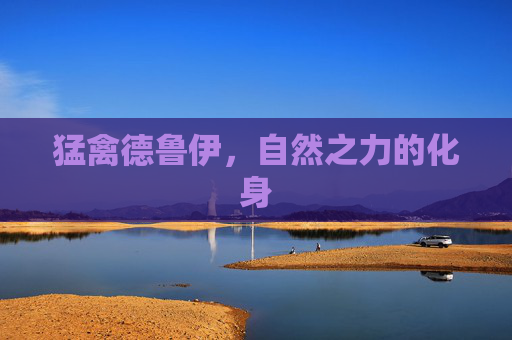 猛禽德鲁伊,自然之力的化身 猛禽德鲁伊,自然之力的化身