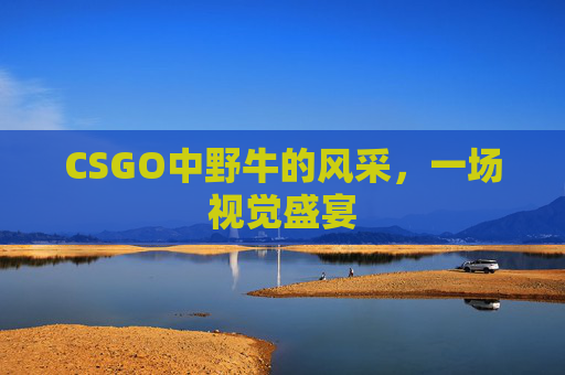 CSGO中野牛的风采,一场视觉盛宴 CSGO中野牛的风采,一场视觉盛宴