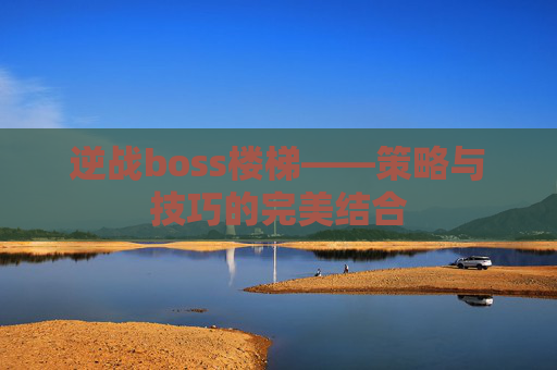 逆战boss楼梯——策略与技巧的完美结合