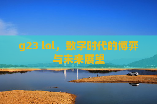 g23 lol，数字时代的博弈与未来展望