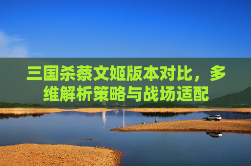 三国杀蔡文姬版本对比，多维解析策略与战场适配