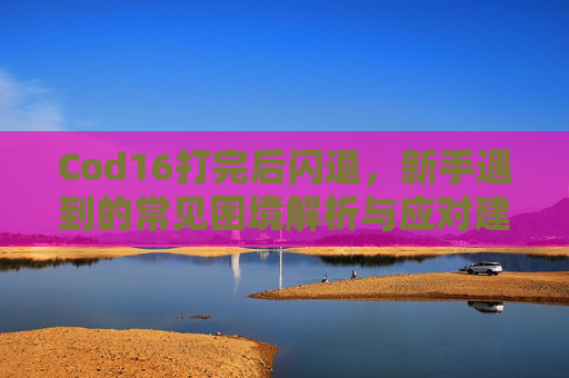 Cod16打完后闪退，新手遇到的常见困境解析与应对建议