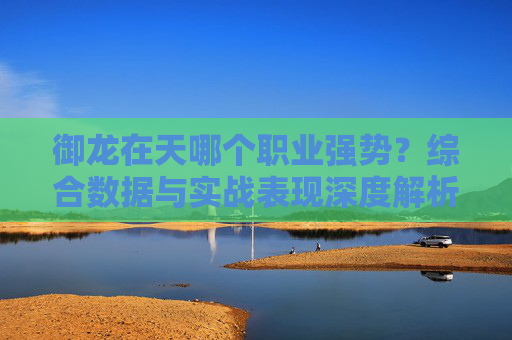 御龙在天哪个职业强势？综合数据与实战表现深度解析
