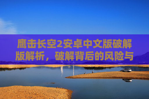 鹰击长空2安卓中文版破解版解析，破解背后的风险与合规思考