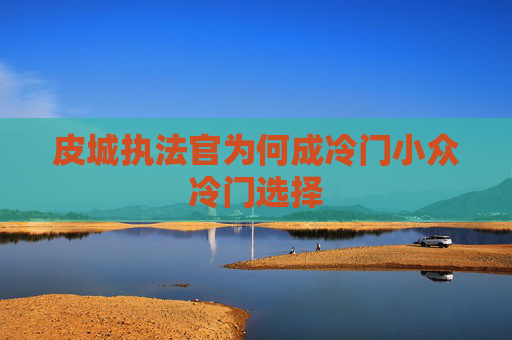 皮城执法官为何成冷门小众冷门选择