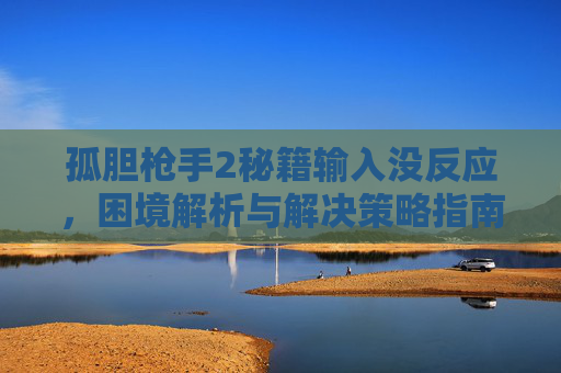 孤胆枪手2秘籍输入没反应,困境解析与解决策略指南 孤胆枪手2秘籍输入没反应,困境解析与解决策略指南