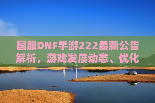国服DNF手游222最新公告解析，游戏发展动态、优化方向与未来展望