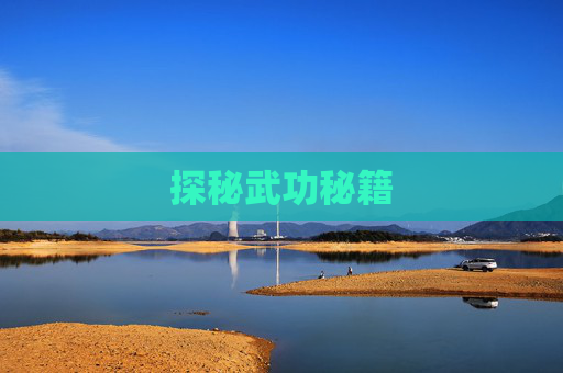探秘武功秘籍