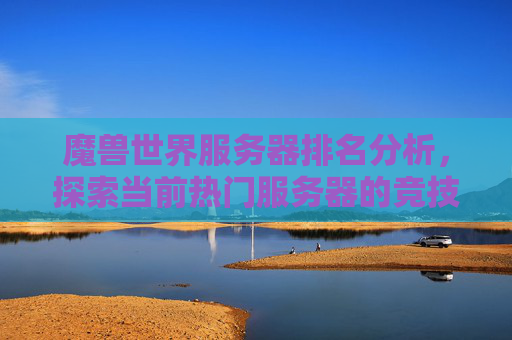 魔兽世界服务器排名分析，探索当前热门服务器的竞技格局