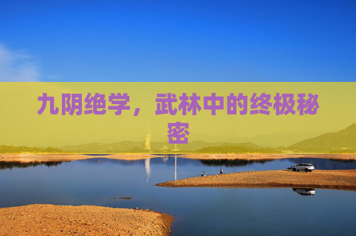 九阴绝学，武林中的终极秘密