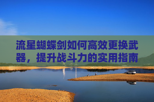 流星蝴蝶剑如何高效更换武器,提升战斗力的实用指南 流星蝴蝶剑如何高效更换武器,提升战斗力的实用指南