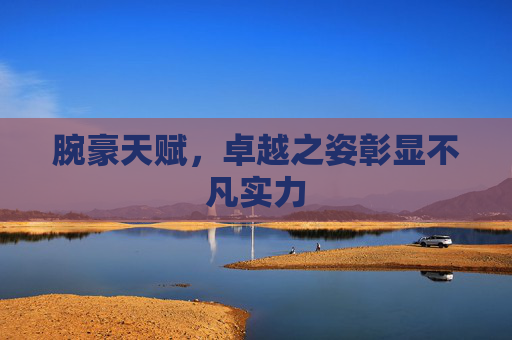 腕豪天赋，卓越之姿彰显不凡实力