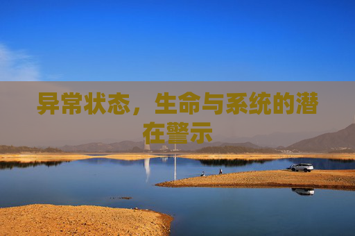异常状态，生命与系统的潜在警示