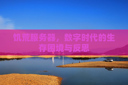 饥荒服务器，数字时代的生存困境与反思