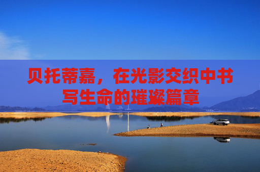 贝托蒂嘉，在光影交织中书写生命的璀璨篇章
