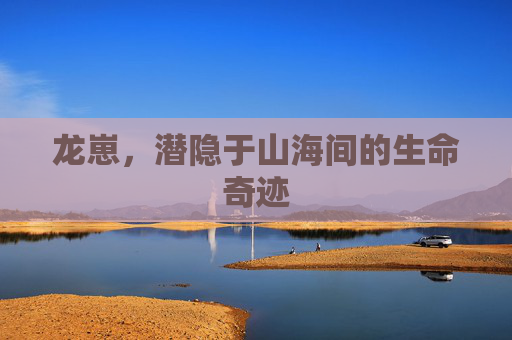 龙崽，潜隐于山海间的生命奇迹
