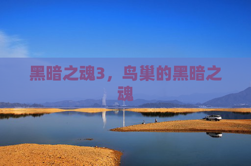 黑暗之魂3,鸟巢的黑暗之魂 黑暗之魂3,鸟巢的黑暗之魂