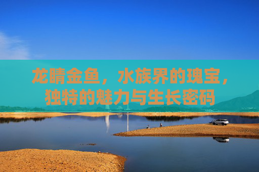 龙睛金鱼，水族界的瑰宝，独特的魅力与生长密码