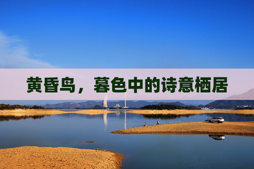黄昏鸟，暮色中的诗意栖居