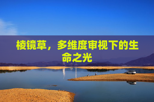 棱镜草,多维度审视下的生命之光 棱镜草,多维度审视下的生命之光