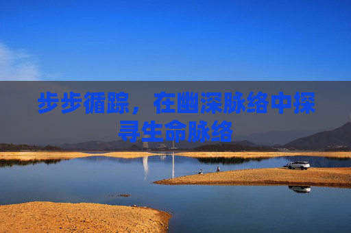 步步循踪,在幽深脉络中探寻生命脉络 步步循踪,在幽深脉络中探寻生命脉络