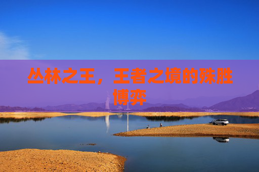 丛林之王，王者之境的殊胜博弈