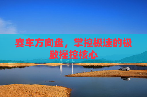 赛车方向盘,掌控极速的极致操控核心 赛车方向盘,掌控极速的极致操控核心
