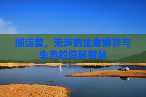 搬运鼠，无声的生命博弈与生态的隐秘智慧