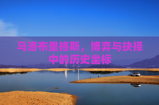 马洛布里格斯，博弈与抉择中的历史坐标