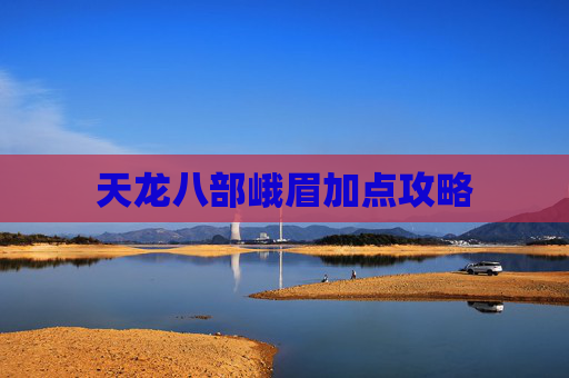 天龙八部峨眉加点攻略