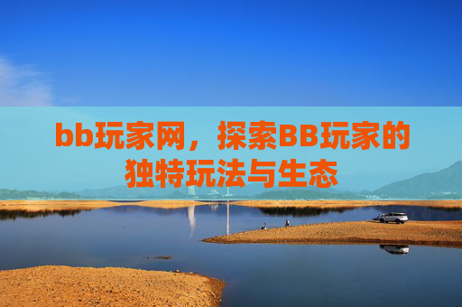 bb玩家网，探索BB玩家的独特玩法与生态