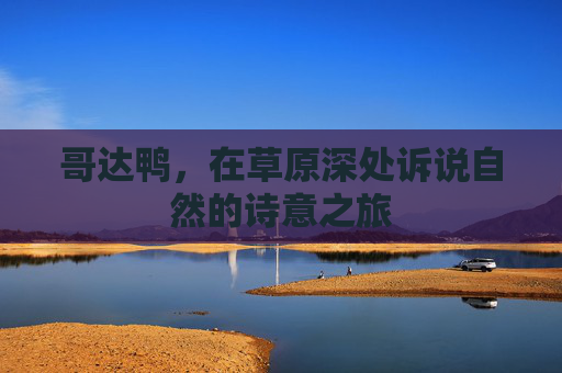 哥达鸭，在草原深处诉说自然的诗意之旅