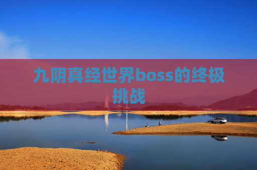 九阴真经世界boss的终极挑战