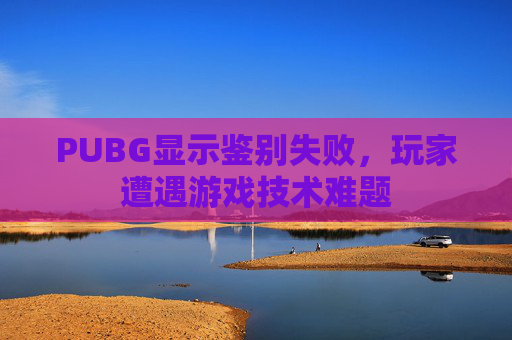 PUBG显示鉴别失败，玩家遭遇游戏技术难题