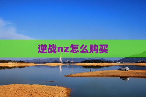 逆战nz怎么购买