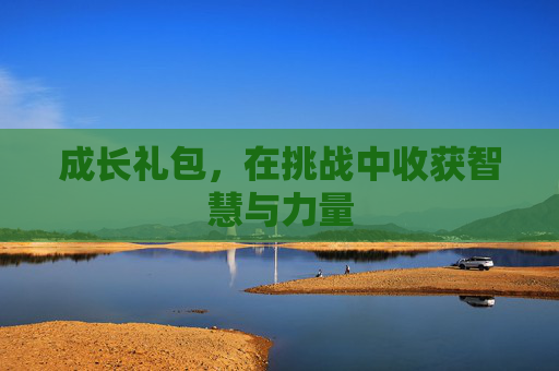 成长礼包,在挑战中收获智慧与力量 成长礼包,在挑战中收获智慧与力量