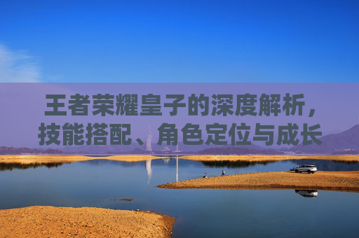 王者荣耀皇子的深度解析，技能搭配、角色定位与成长之路