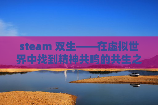 steam 双生——在虚拟世界中找到精神共鸣的共生之境