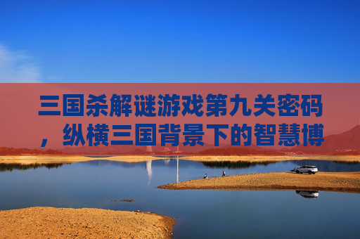 三国杀解谜游戏第九关密码，纵横三国背景下的智慧博弈