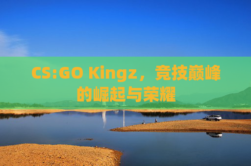CS:GO Kingz，竞技巅峰的崛起与荣耀