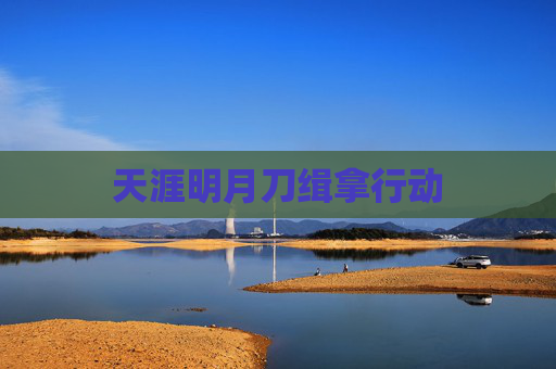 天涯明月刀缉拿行动 天涯明月刀缉拿行动