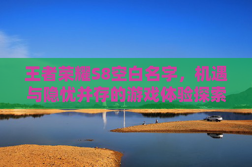王者荣耀S8空白名字，机遇与隐忧并存的游戏体验探索
