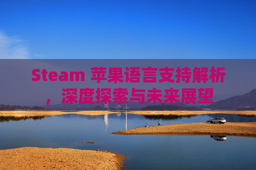 Steam 苹果语言支持解析，深度探索与未来展望
