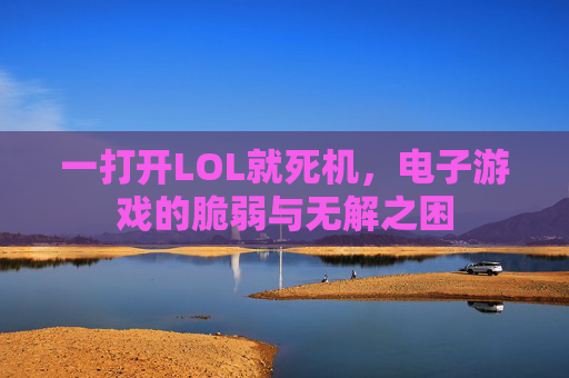 一打开LOL就死机，电子游戏的脆弱与无解之困